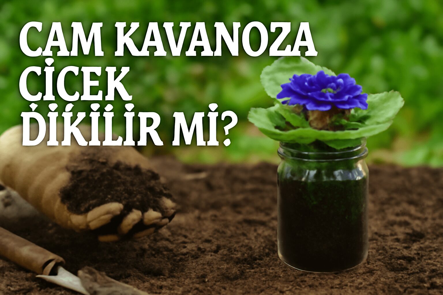 Cam Kavanoza Çiçek Dikilir Mi? Cam Kavanoza Çiçek Dikilir Mi?