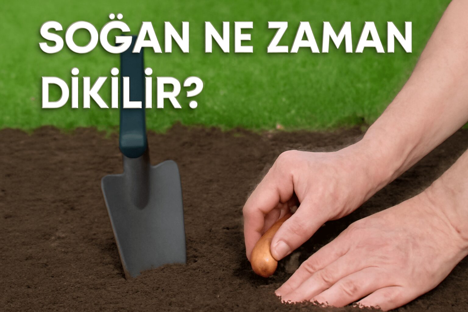 Soğan Ne Zaman Dikilir